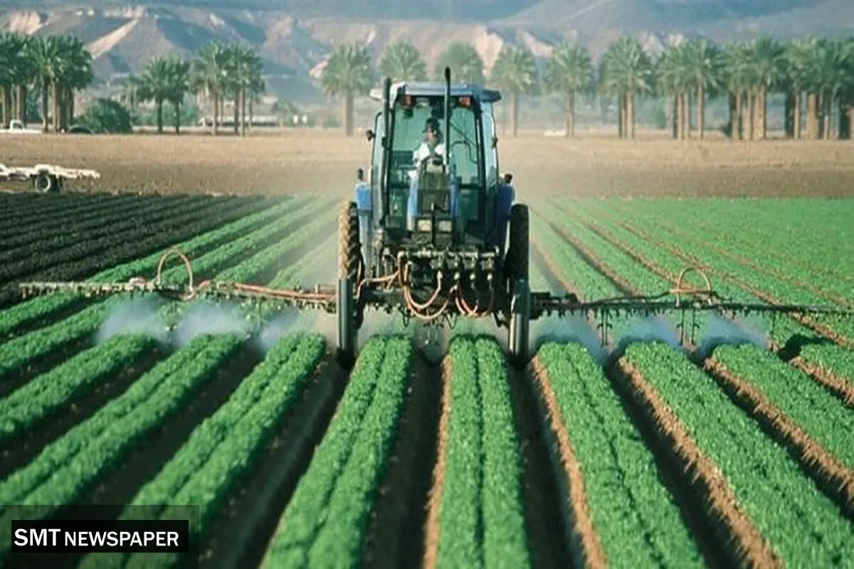 گندمکاران زیر چتر حمایتی دولت