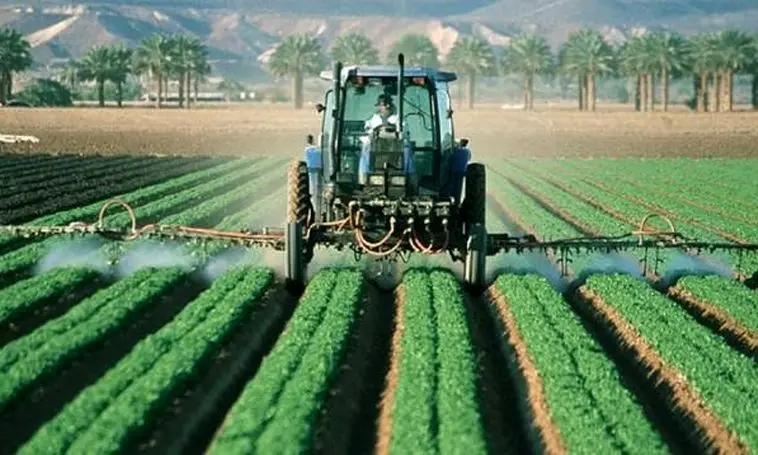 گندمکاران زیر چتر حمایتی دولت