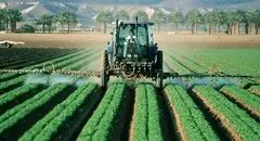گندمکاران زیر چتر حمایتی دولت