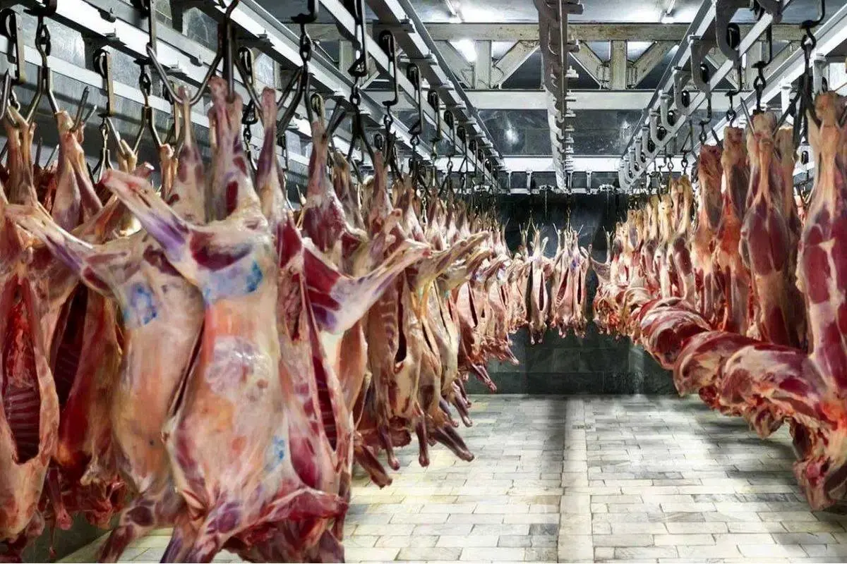 قیمت انواع گوشت قرمز شنبه ۲۱ تیر۱۴۰۴ + جدول
