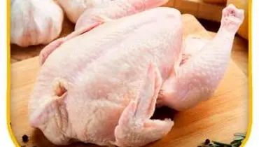 لیست قیمت انواع مرغ امروز ۲۸ سه شنبه  مرداد ۱۴۰۴