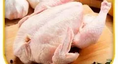 لیست قیمت انواع مرغ امروز ۲۸ سه شنبه  مرداد ۱۴۰۴