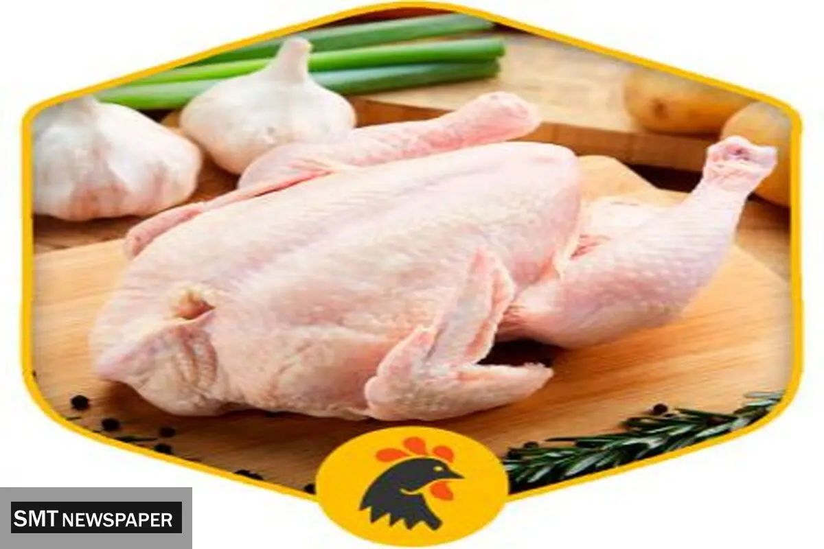 لیست قیمت انواع مرغ امروز ۲۸ سه شنبه  مرداد ۱۴۰۴