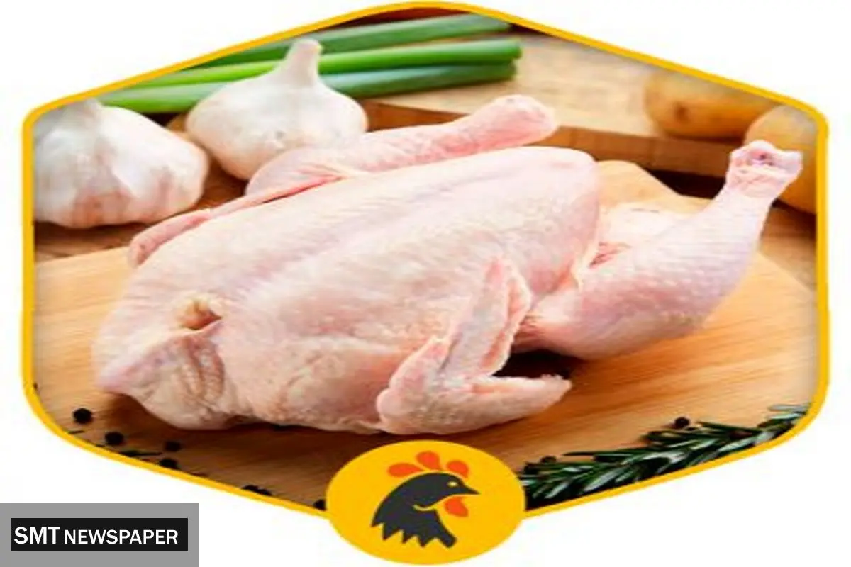 لیست قیمت انواع مرغ امروز ۲۸ سه شنبه  مرداد ۱۴۰۴