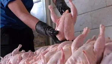 اختلاف ۲۰۰ هزار تومانی بین قیمت مرغ از کشتار تا مغازه