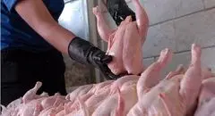اختلاف ۲۰۰ هزار تومانی بین قیمت مرغ از کشتار تا مغازه