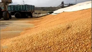 وزارت جهاد کشاورزی تشکلات را قبول ندارد