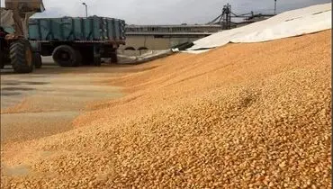 وزارت جهاد کشاورزی تشکلات را قبول ندارد