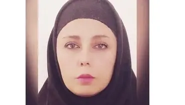 پژوهشگر حقوقی، پل میان قانون و جامعه