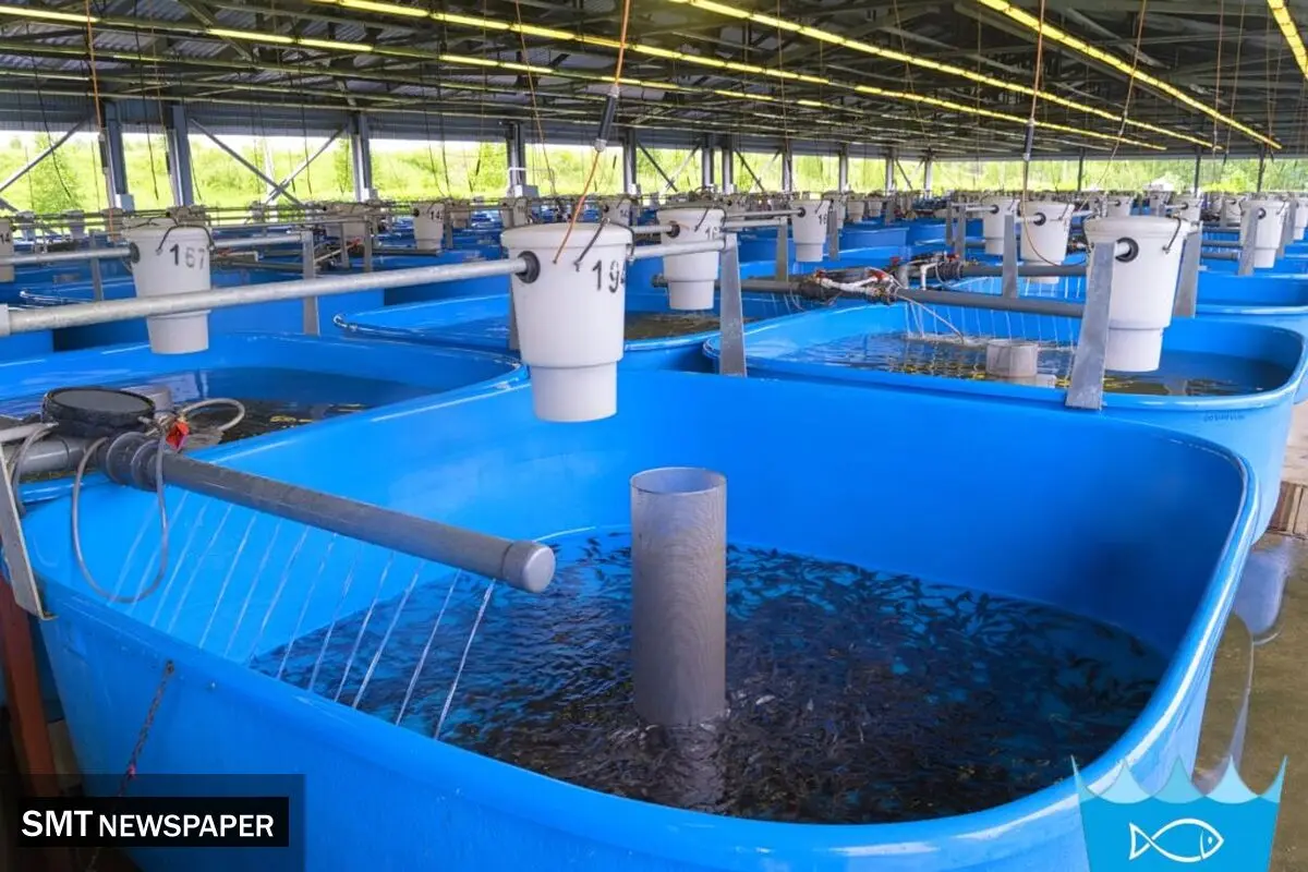 تاثیر اکسیژن‌دهی اصولی بر ضریب تبدیل خوراک؛ راهنمای انتخاب تجهیزات هوادهی