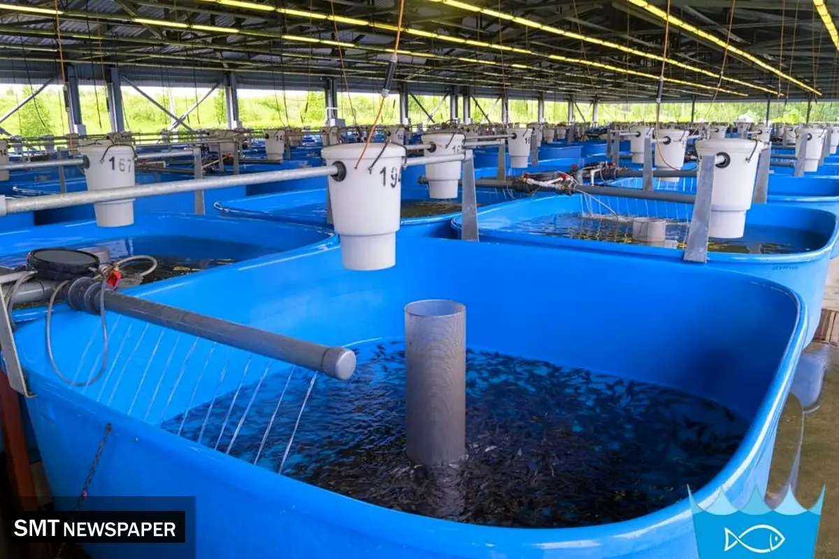 تاثیر اکسیژن‌دهی اصولی بر ضریب تبدیل خوراک؛ راهنمای انتخاب تجهیزات هوادهی