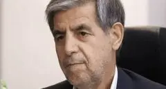 صدیقی: ابلاغ سهمیه و تخصیص اعتبار وام اشتغال باید همزمان انجام شود