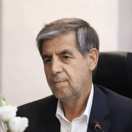 صدیقی: ابلاغ سهمیه و تخصیص اعتبار وام اشتغال باید همزمان انجام شود