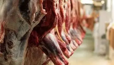 واردات گوشت گرم گوساله از پاکستان و برزیل با نرخ مصوب آغاز شد