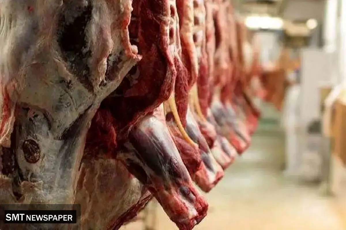 واردات گوشت گرم گوساله از پاکستان و برزیل با نرخ مصوب آغاز شد