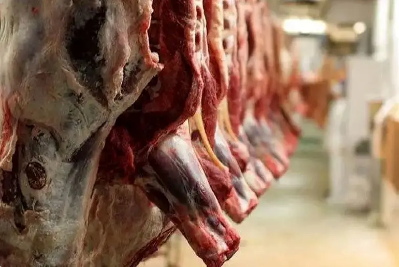 واردات گوشت گرم گوساله از پاکستان و برزیل با نرخ مصوب آغاز شد