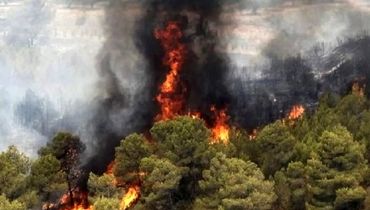 ۲۲۰ مورد آتش‌سوزی در جنگل‌ها و مراتع استان در سال جاری ثبت شده است  !