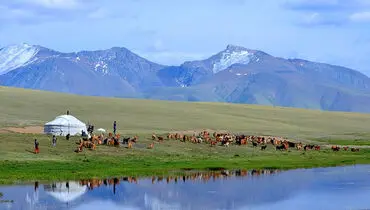 مغولستان؛ سرزمین مراتع گسترده و ظرفیت تولید گوشت باکیفیت