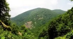 چه شد که ایران از معمار کنوانسیون به متهم آن تبدیل شد؟