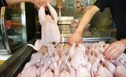 افزایش قیمت مرغ امروز چهارشنبه ۲۳ مهر ۱۴۰۴ + جدول