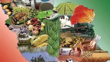 خودکفایی ایران در تامین امنیت غذایی