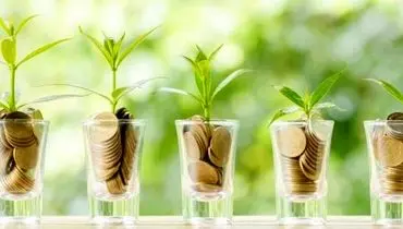 برنامه‌ریزی مدون برای افزایش سودآوری شرکت سی‌ولکس در سال‌های 1404 و 1405