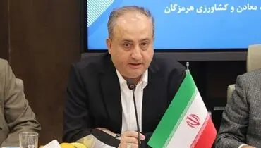  نوسانات ارزی، تهدید خاموش صادرات