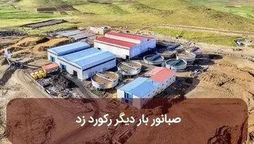 صبانور بار دیگر رکورد زد