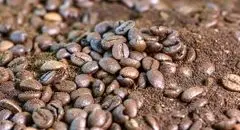 قهوه تریاکی به مقصد نرسید! کشف محموله عجیب در فرودگاه امام