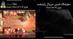 پشت صحنه تماشایی از خرس سریال پایتخت +‌ فیلم