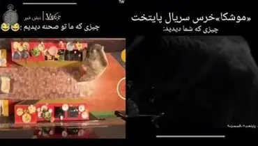 پشت صحنه تماشایی از خرس سریال پایتخت +‌ فیلم