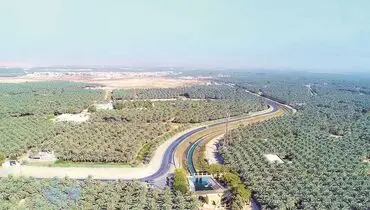 عربستان در مسیر سبز شدن یا سبزشویی؟