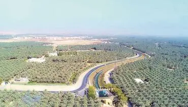 عربستان در مسیر سبز شدن یا سبزشویی؟