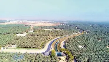 عربستان در مسیر سبز شدن یا سبزشویی؟