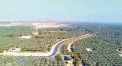 عربستان در مسیر سبز شدن یا سبزشویی؟