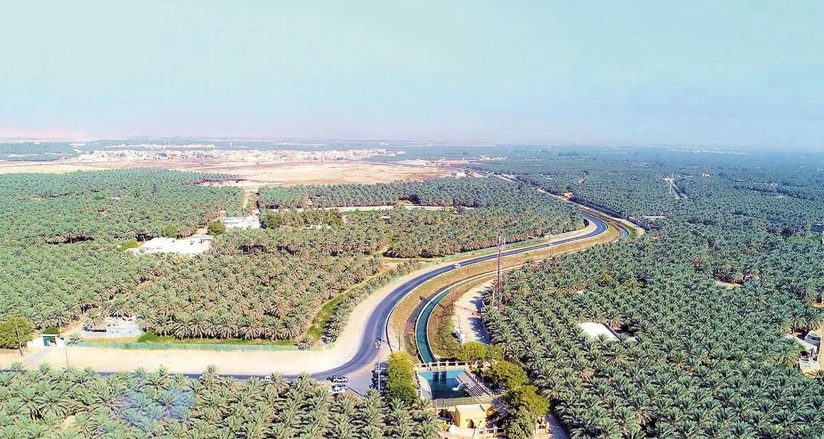 عربستان در مسیر سبز شدن یا سبزشویی؟