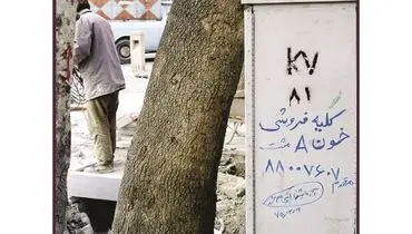 نقش طنز و تصور در نقاشی‌های دیواری
