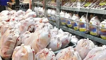 لیست قیمت مرغ امروز دوشنبه ۲۰ مرداد ۱۴۰۴