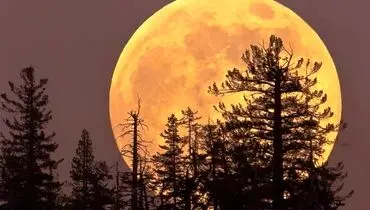 ابرماه درخشان سال چهارشنبه شب در آسمان می‌درخشد