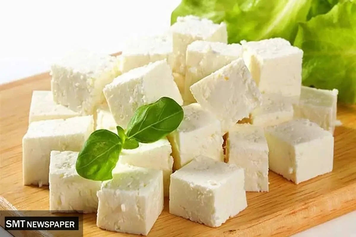 نوسان قیمت پنیر در مهرماه؛ افزایش چشمگیر در برخی برندها
