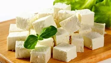 نوسان قیمت پنیر در مهرماه؛ افزایش چشمگیر در برخی برندها