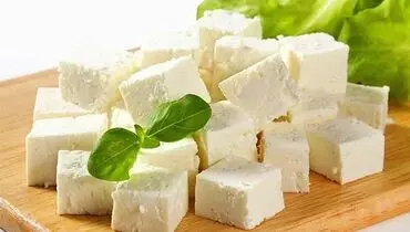 نوسان قیمت پنیر در مهرماه؛ افزایش چشمگیر در برخی برندها