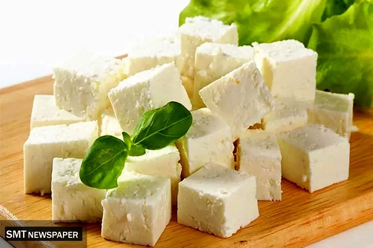نوسان قیمت پنیر در مهرماه؛ افزایش چشمگیر در برخی برندها