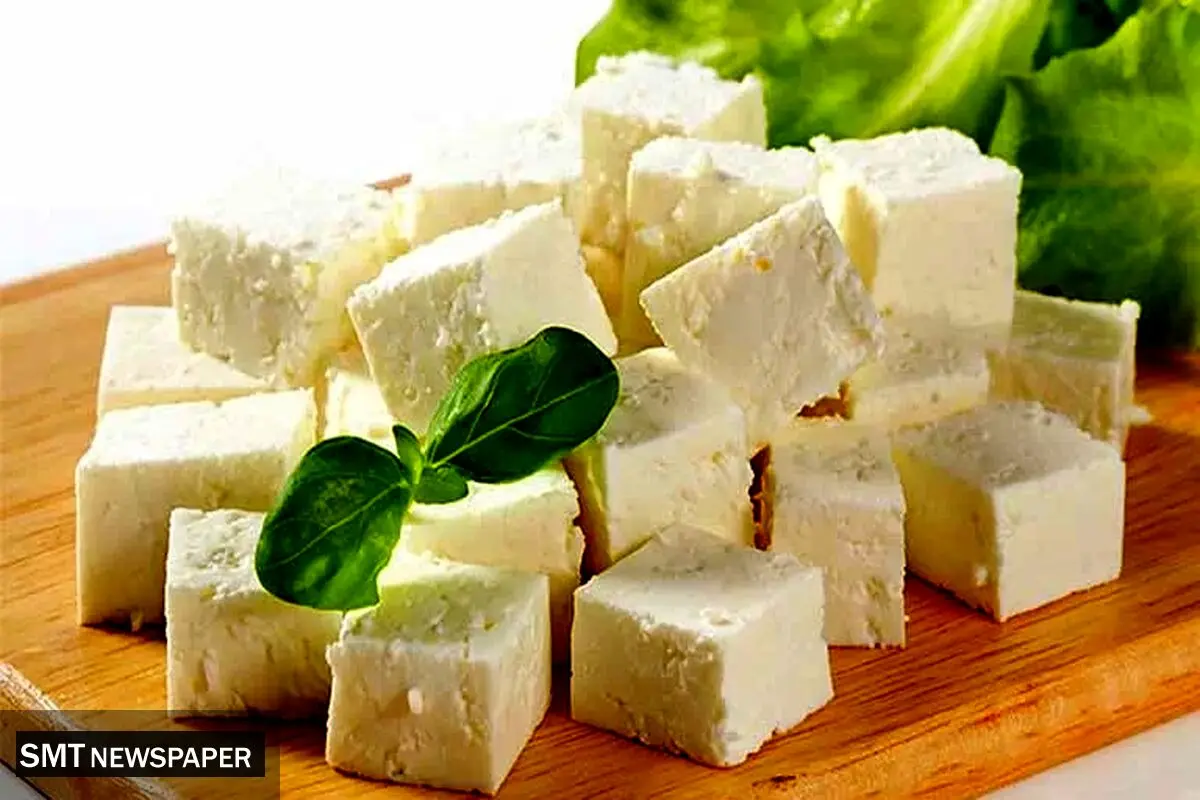 نوسان قیمت پنیر در مهرماه؛ افزایش چشمگیر در برخی برندها