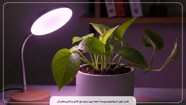 لامپ فول اسپکتروم چیست و چه کاربرد هایی دارد؟