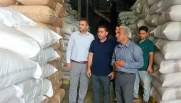 بازدید ریاست سازمان چای کشور از انبارهای واحدهای بسته بندی استان گیلان و مازندران 
