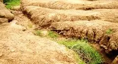 فرسایش خاک ۱۰ برابر ظرفیت طبیعی است