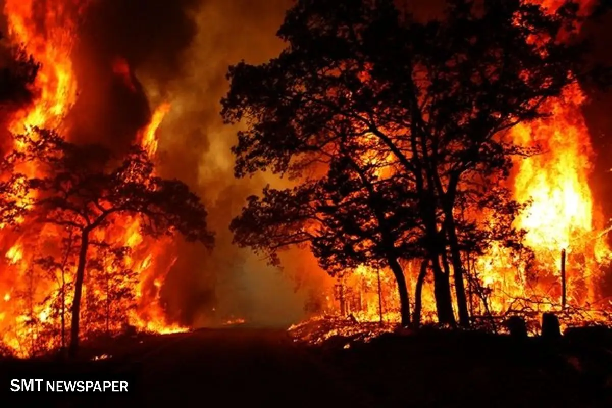 آتش‌سوزی گسترده در جنگل‌های سیدنی استرالیا