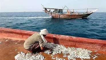 بازداشت ۱۵ صیاد ایرانی توسط عربستان؛ روایت دردناک خانواده‌ها