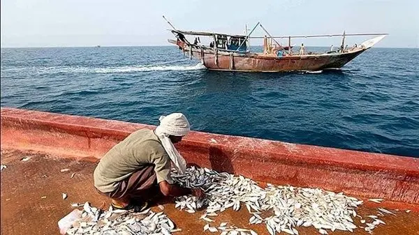 بازداشت ۱۵ صیاد ایرانی توسط عربستان؛ روایت دردناک خانواده‌ها